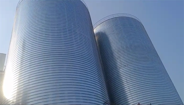 阜康2座混凝土高架卷板仓